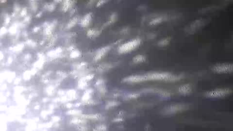 nastysubs69 online show from March 12, 3:31 pm