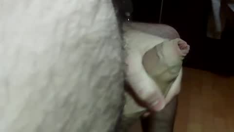 ncbncb online show from January 12, 10:12 pm