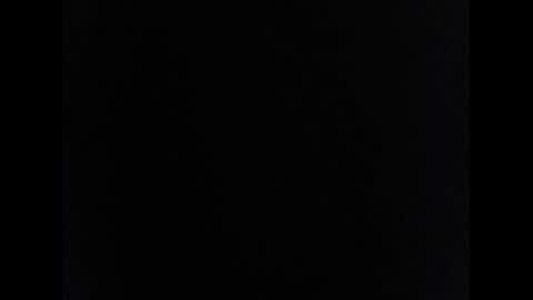 nekfkskw online show from December 3, 6:41 am