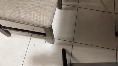 Carlos Nico online show from March 15, 9:28 am