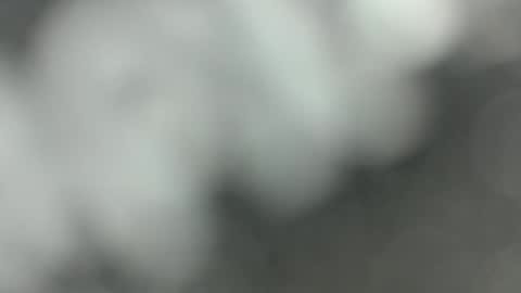 Snapshot of ninjadance chatting on March 2, 1:42 pm Ninjadance online show from March 2, 1:42 pm