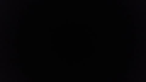 Snapshot of ninjadance chatting on February 4, 8:24 am Ninjadance online show from February 4, 8:24 am