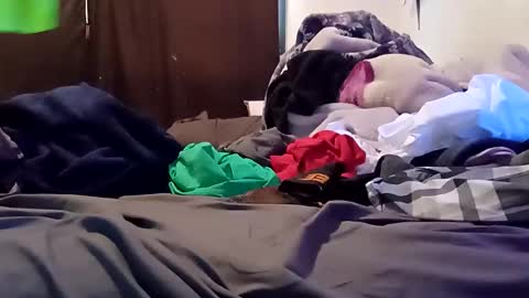 Noah Wesley online show from February 8, 6:56 pm