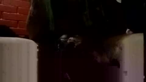 nocturnus1980 online show from November 16, 7:54 am