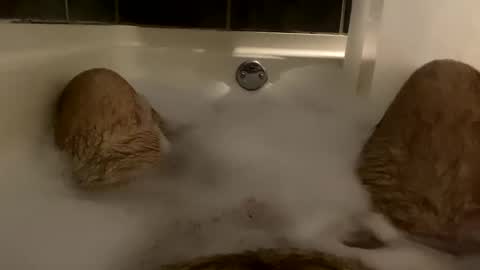 oldbones2 online show from January 27, 3:47 am