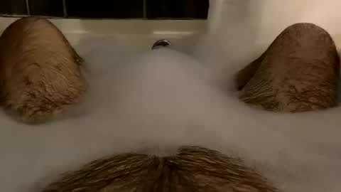 oldbones2 online show from February 16, 2:22 am