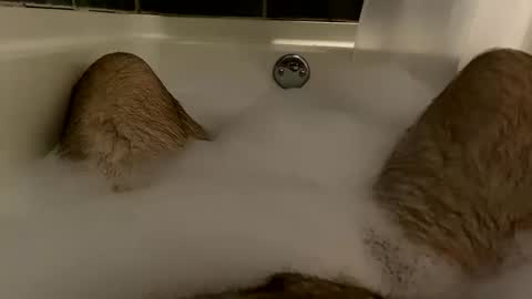 oldbones2 online show from December 8, 2:07 am