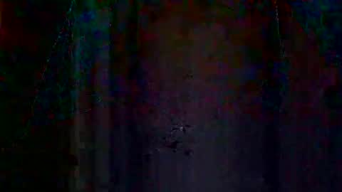 oretrail online show from March 1, 12:43 am