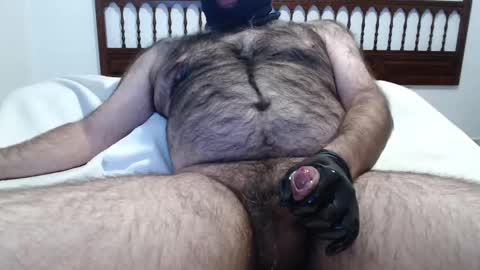 OsoTFSur online show from January 29, 4:41 pm