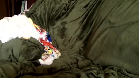 Snapshot of paintdude424 chatting on September 9, 3:33 pm paintdude424 online show from September 9, 3:33 pm