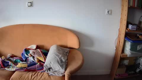 Pajarito lindo online show from September 13, 12:39 pm