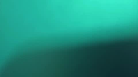 Snapshot of pala3441 chatting on March 8, 11:18 pm PALA online show from March 8, 11:18 pm