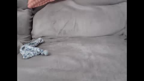 pal online show from February 27, 8:26 am