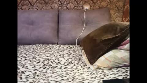 Pancamo online show from January 5, 6:45 pm