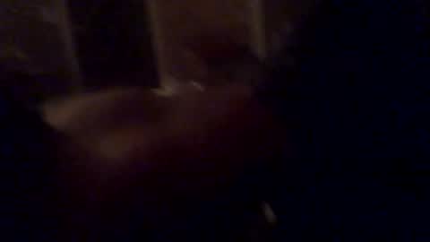 papasitoric0 online show from November 18, 1:09 am