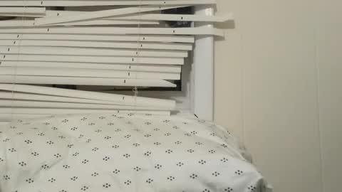 Snapshot of pato0008 chatting on December 4, 6:11 am JD online show from December 4, 6:11 am