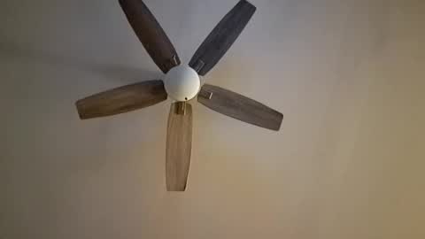 Snapshot of patrick247288 chatting on September 25, 5:06 am patrick247288 online show from September 25, 5:06 am