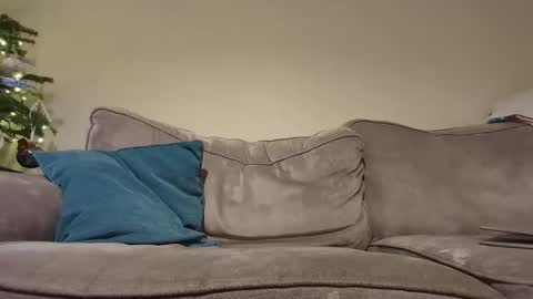 Snapshot of pauleyheron chatting on December 16, 8:05 pm pugwall22 online show from December 16, 8:05 pm