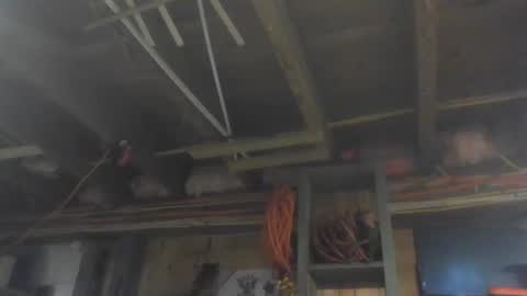 Snapshot of paulstetson chatting on December 26, 3:53 pm paulstetson online show from December 26, 3:53 pm