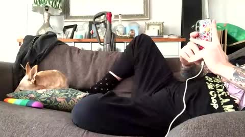 paulyb445 online show from October 2, 2:10 pm