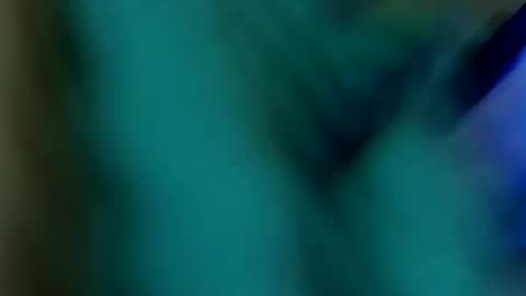 Paw online show from January 15, 11:40 pm