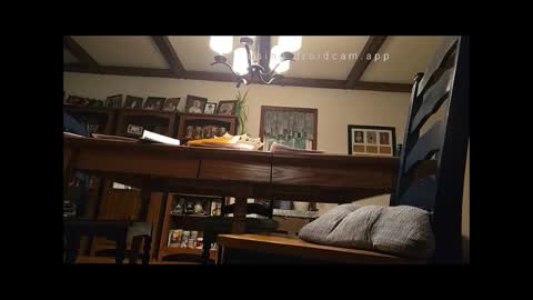 peecocktail online show from January 16, 5:32 am