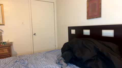 Long  dick 14452 online show from February 16, 8:21 am