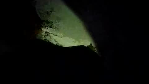 pepegrillo20209 online show from January 16, 8:06 am