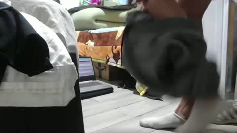 pepe39 online show from December 25, 11:53 pm