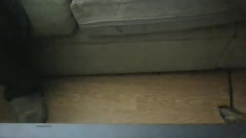 pete101809130245357 online show from April 6, 11:08 am