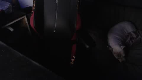 peterbeater2 online show from February 21, 7:44 am