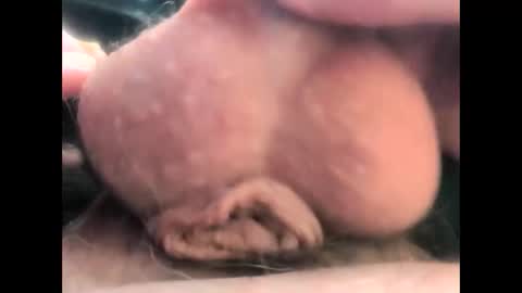 petrol63102 online show from March 3, 2:24 pm