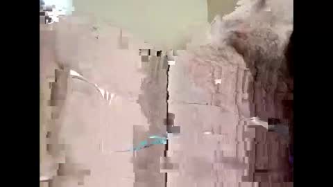 pinkdolphin76 online show from March 9, 7:08 pm