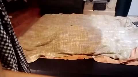 Dominik online show from January 10, 6:38 pm