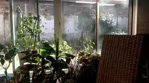 pl4yer__88 online show from March 4, 12:55 pm