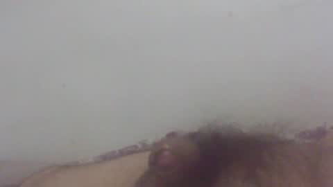 pol2023 online show from January 7, 1:32 pm