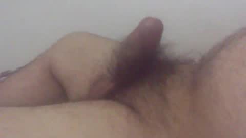 pol2023 online show from February 6, 3:48 am