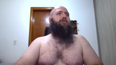 Bear online show from February 9, 3:22 am