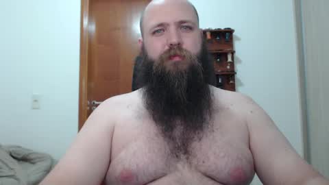 Bear online show from February 17, 12:54 am