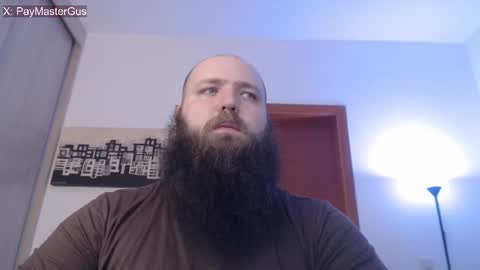 Bear online show from November 5, 6:04 am