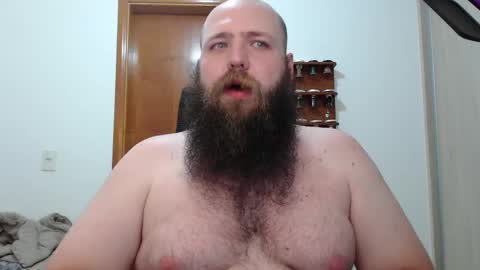 Bear online show from February 14, 2:39 am