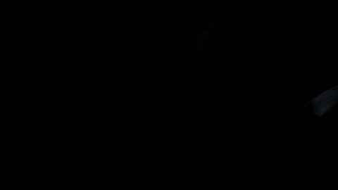 polishx42 online show from August 4, 1:11 am
