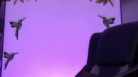    online show from November 12, 11:53 pm