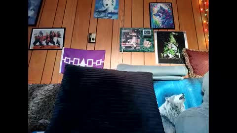 prettysolid7 online show from February 15, 12:57 pm