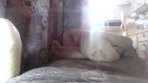 Snapshot of puffingoodtime chatting on March 9, 7:12 am puffingoodtime online show from March 9, 7:12 am