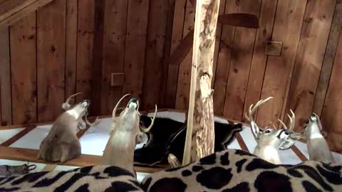 pumpslurrys online show from November 1, 7:18 pm