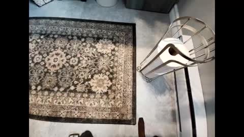 Snapshot of purdyguy7777 chatting on February 14, 5:46 pm purdyguy7777 online show from February 14, 5:46 pm