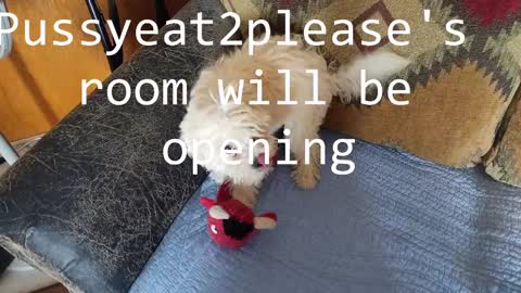 Rick online show from February 12, 7:13 am