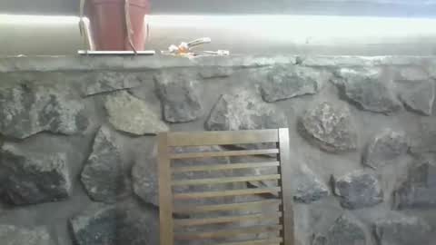 Python online show from January 13, 2:38 am