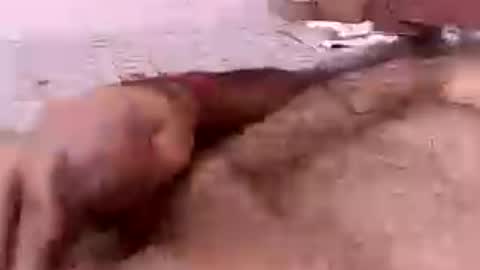 RAMAN online show from June 19, 5:29 pm